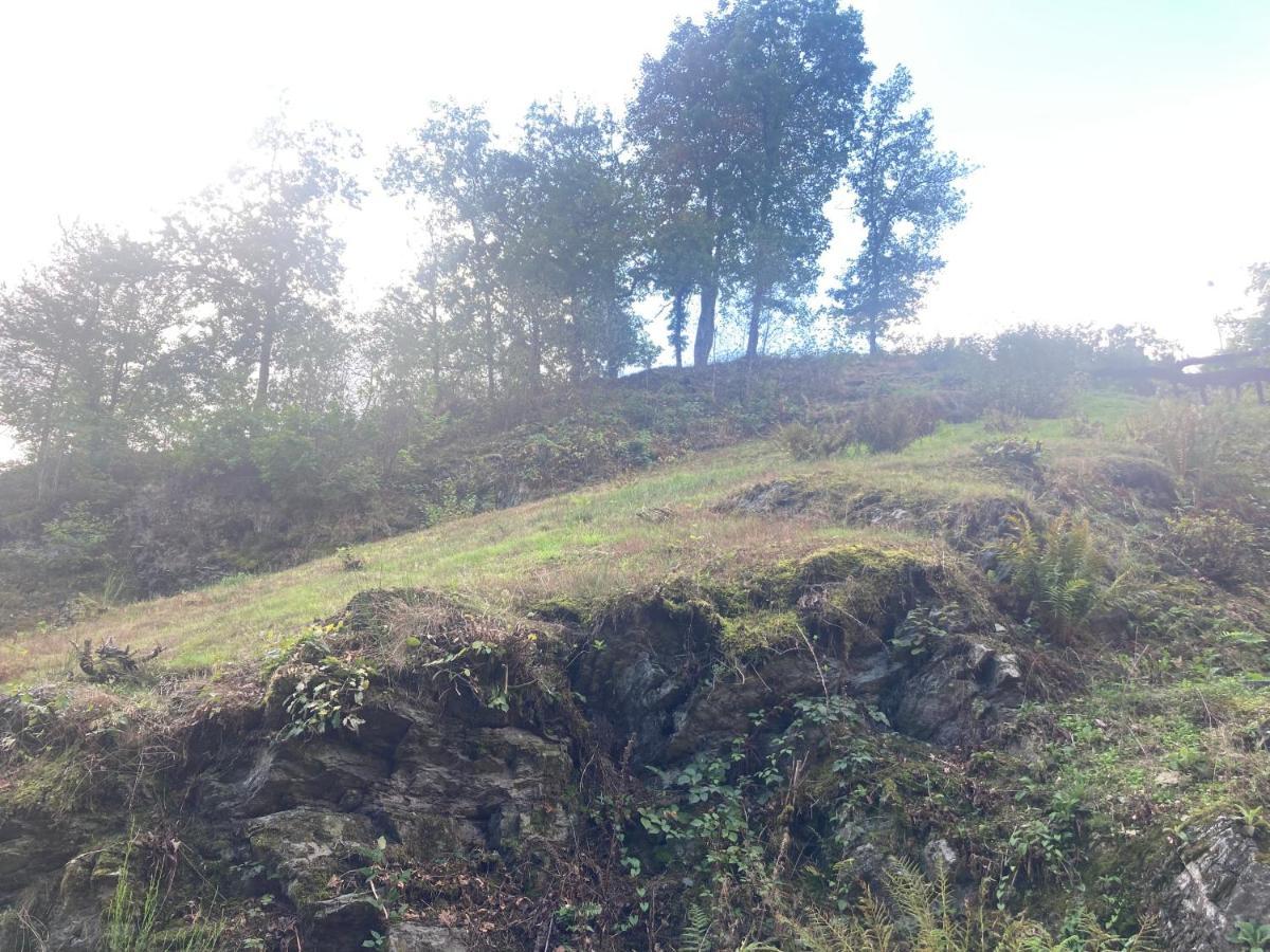 Le Cottage De Christine Vresse-sur-Semois Esterno foto